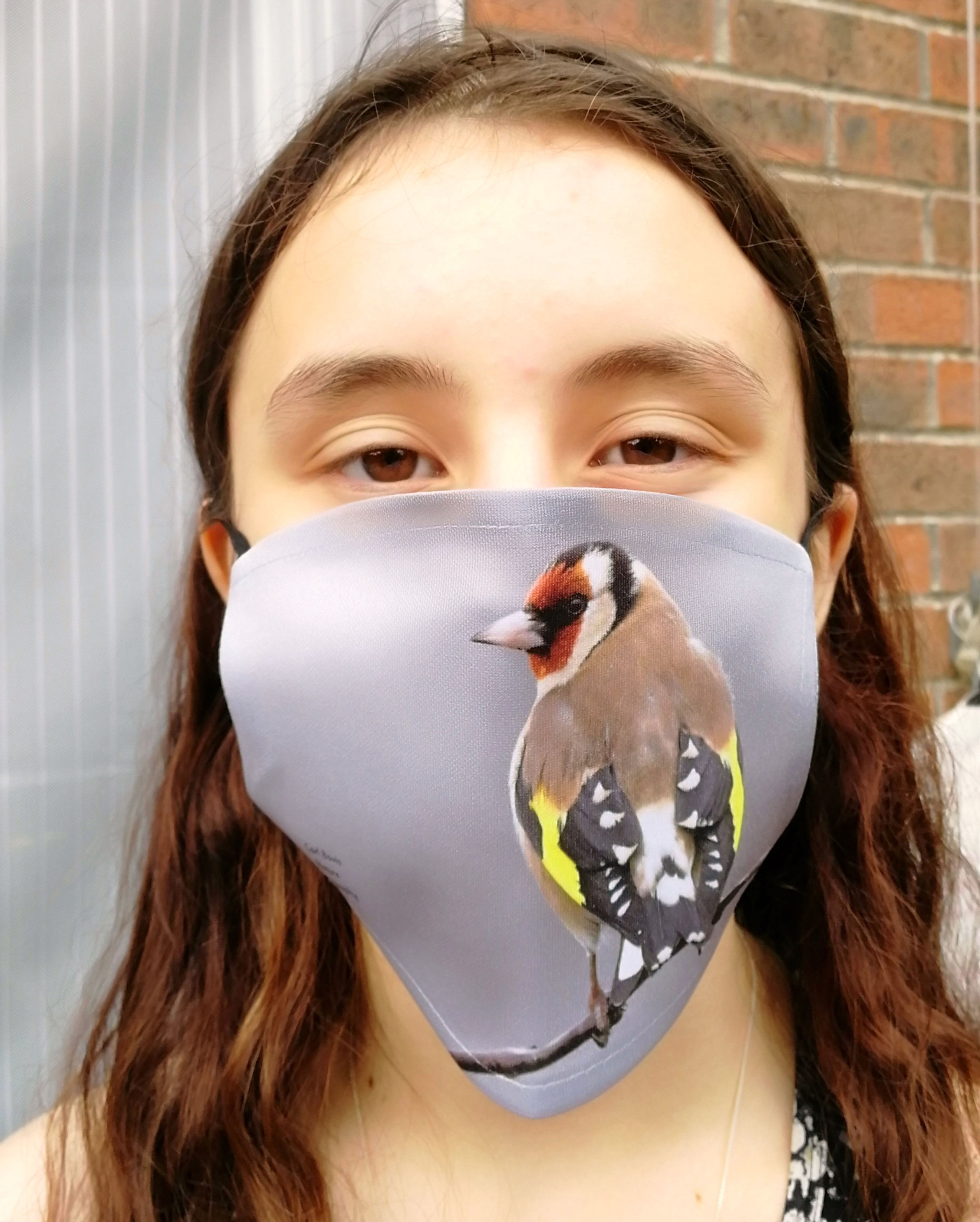 Face mask - Goldfinch 