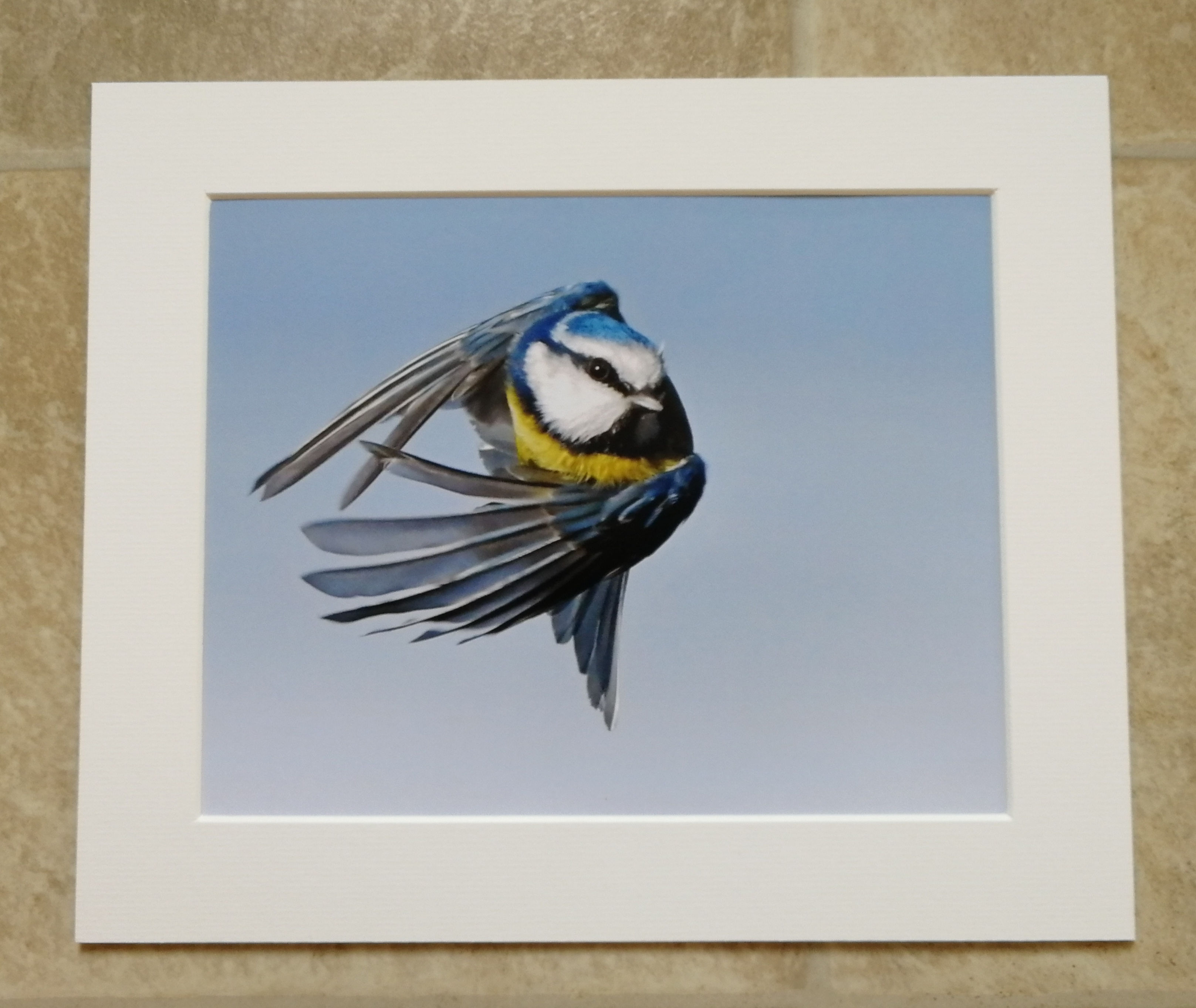 Super Tit saves Christmas - 10x8 mounted print