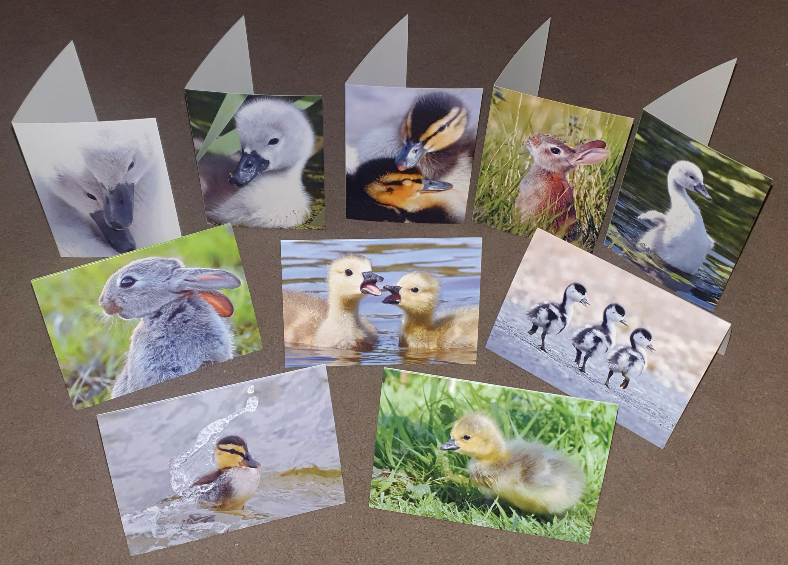 Young & cute - Pack of 10 A6 greeting cards