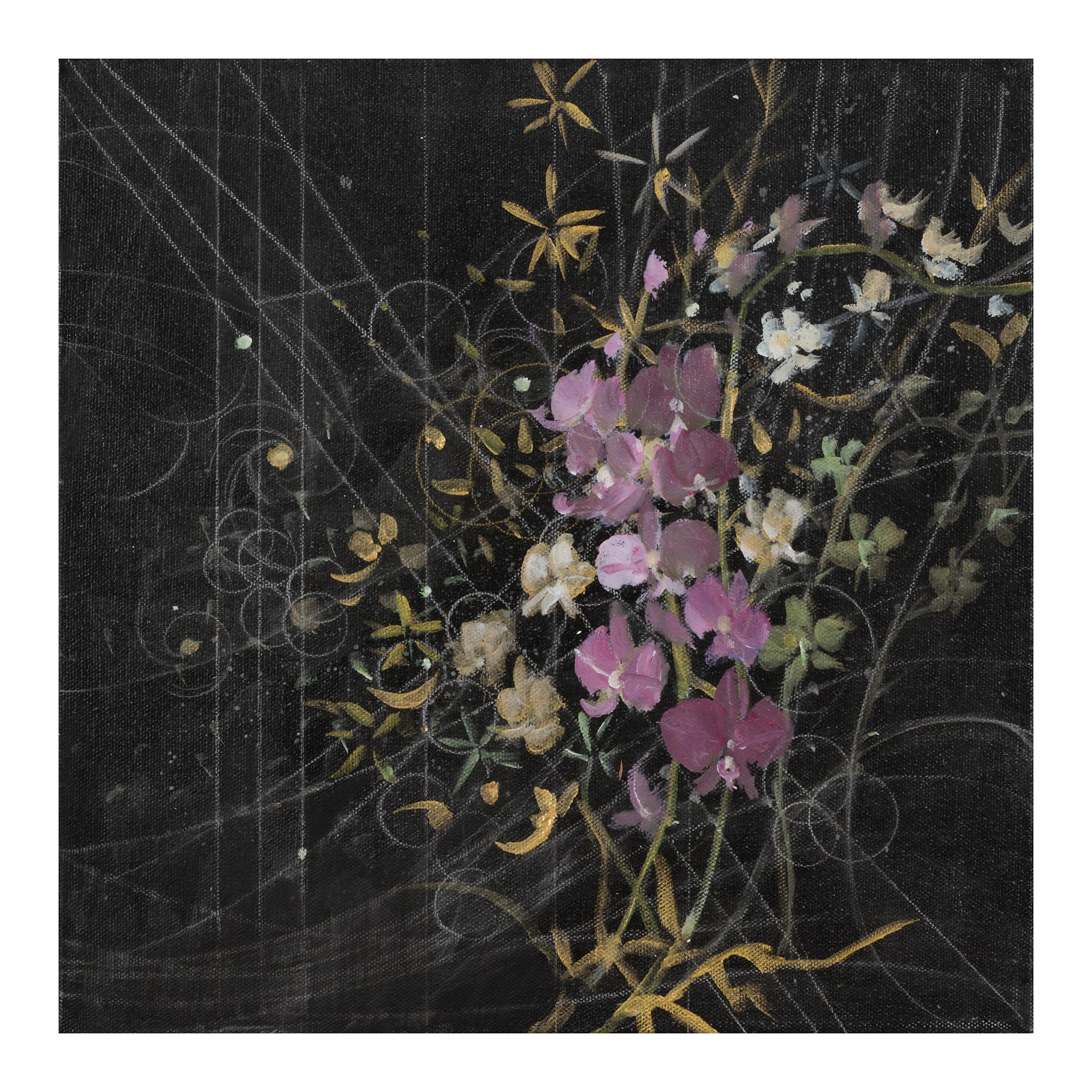 Orchids: Musical View