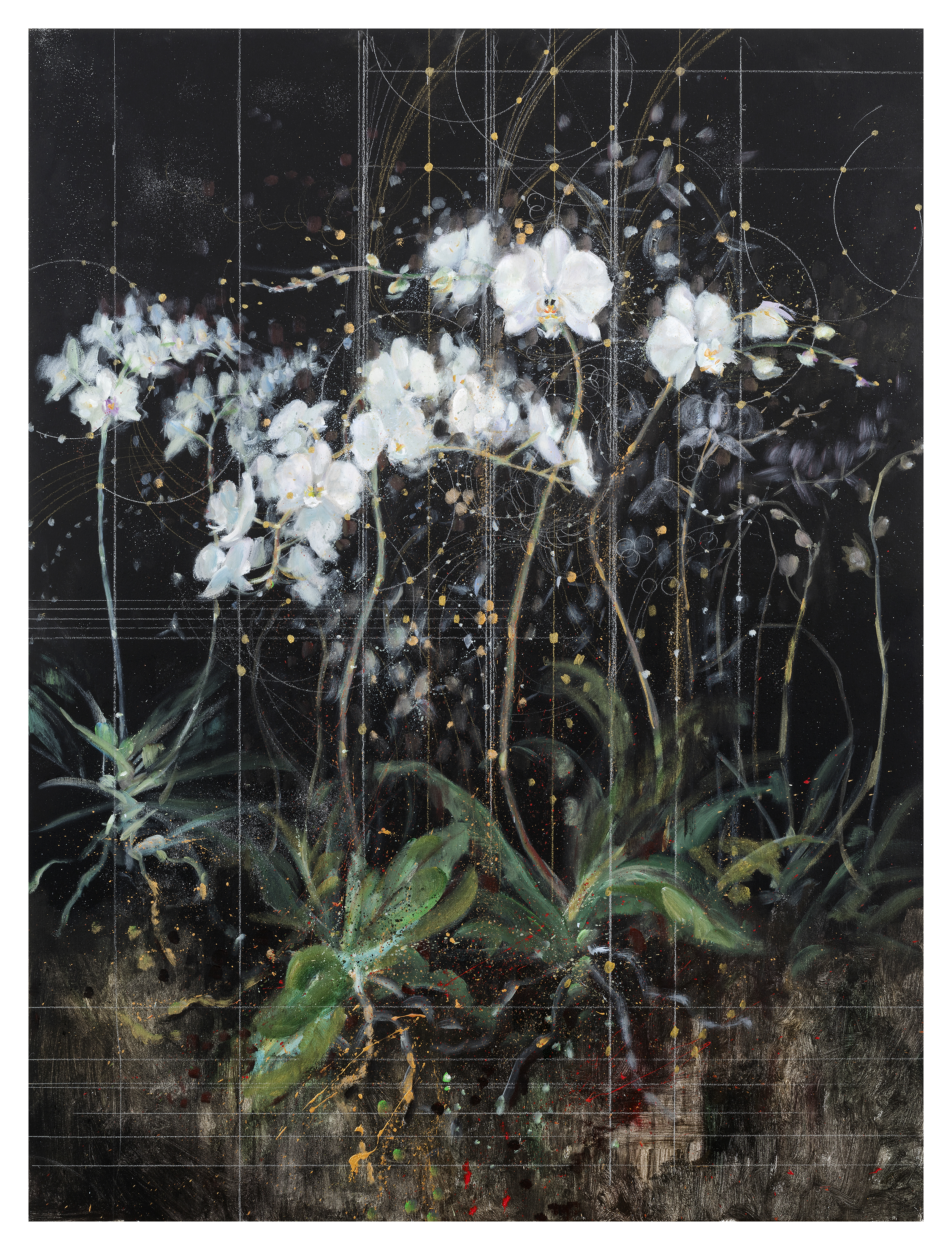 Symphonic Creation of the Orchids