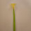 Thumbnail: Lily Flower Gel Pen