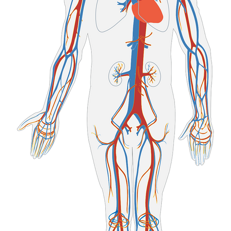 Peripheral Vascular Disease