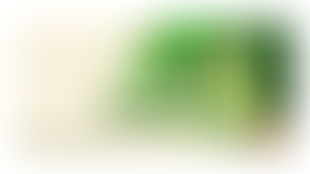 初めてのファスティング（プチ断食）