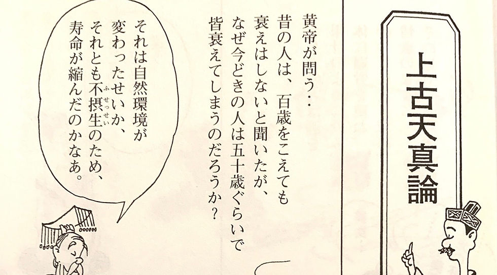 中医養生ヨガ修了生向け勉強会