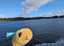 Taking the ferry to Vaxholm (Waxholm) in the Stockholm area, Sweden