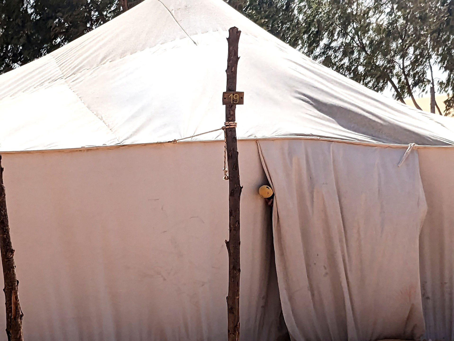 Miniwurm's pokes his head out of the Mauritanian-style tent in Lompoul, Senegal