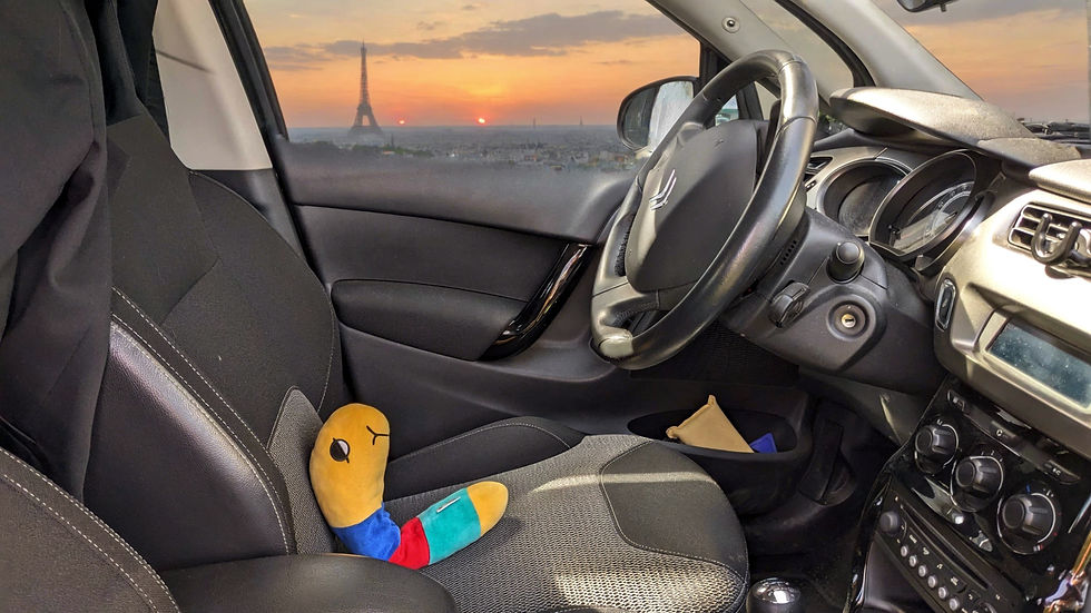 A cuddly toy drives a car through France