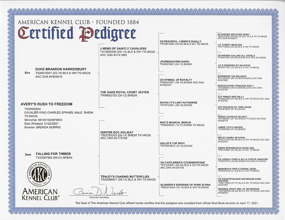 AKC Pedigree_1_edited.png