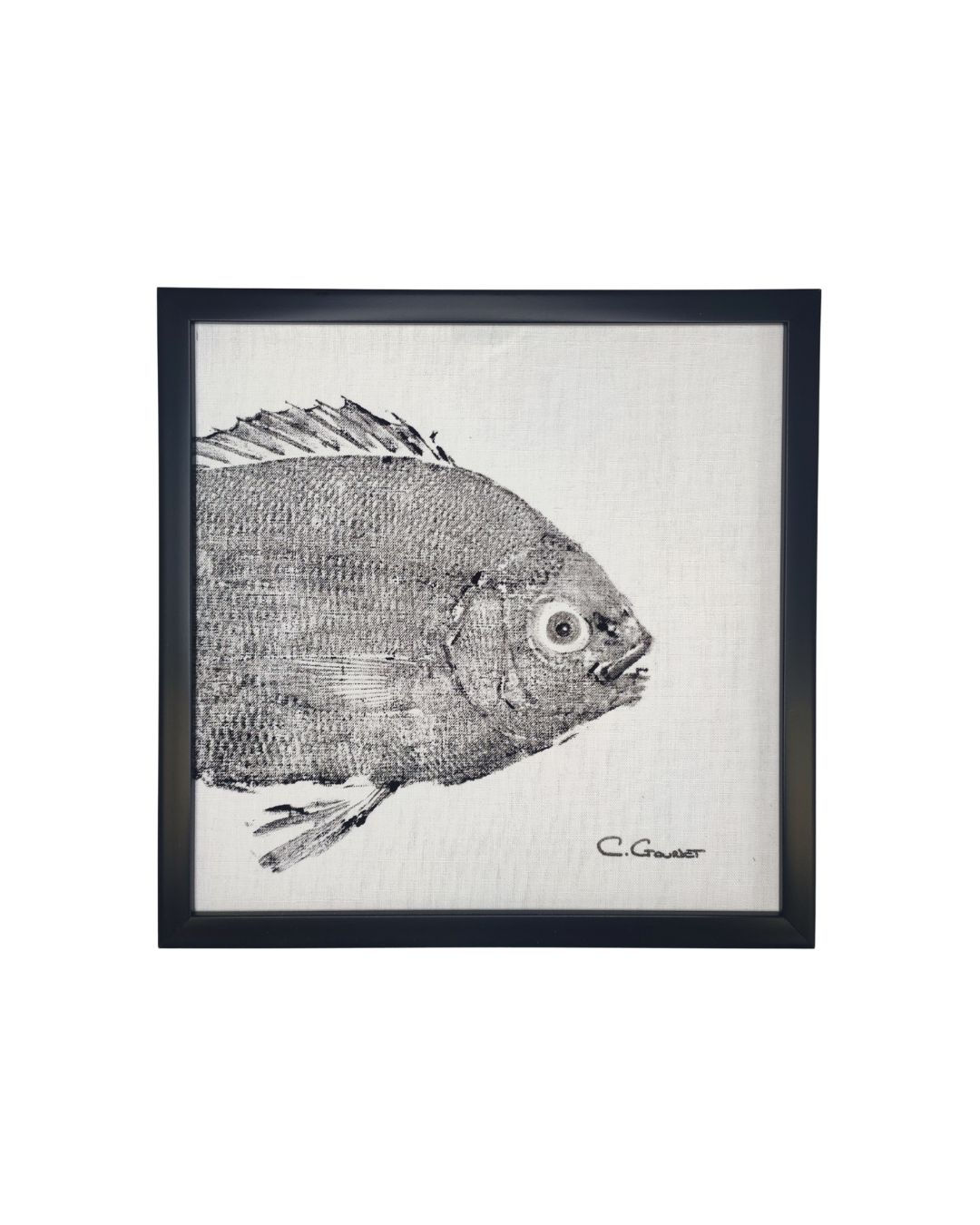 Gyotaku "Dorade" - 20x20cm
