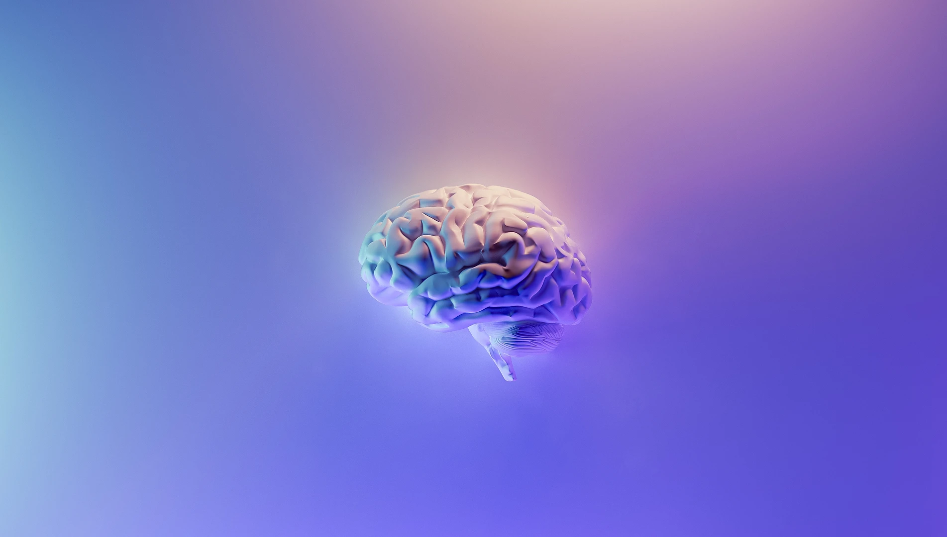 Brein-neuro-training-wetenschap