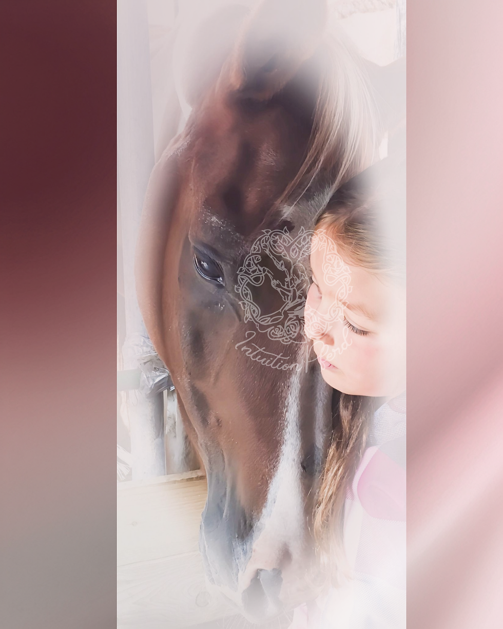 Kinder lernen Körpersprache in der Pferdebegegnung