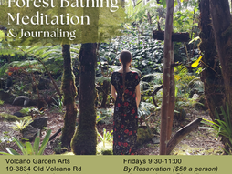 Forest Bathing Meditation