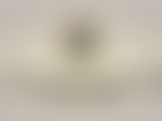 II Congresso Extraordinário da Fetrafi-SC será no dia 6 de novembro