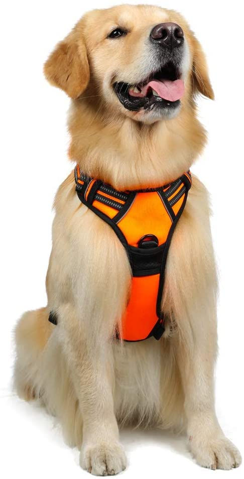 Thumbnail: Dog Harness, No-Pull Pet Harness with 2 Leash Clips, Adjustable Soft Padded Dog