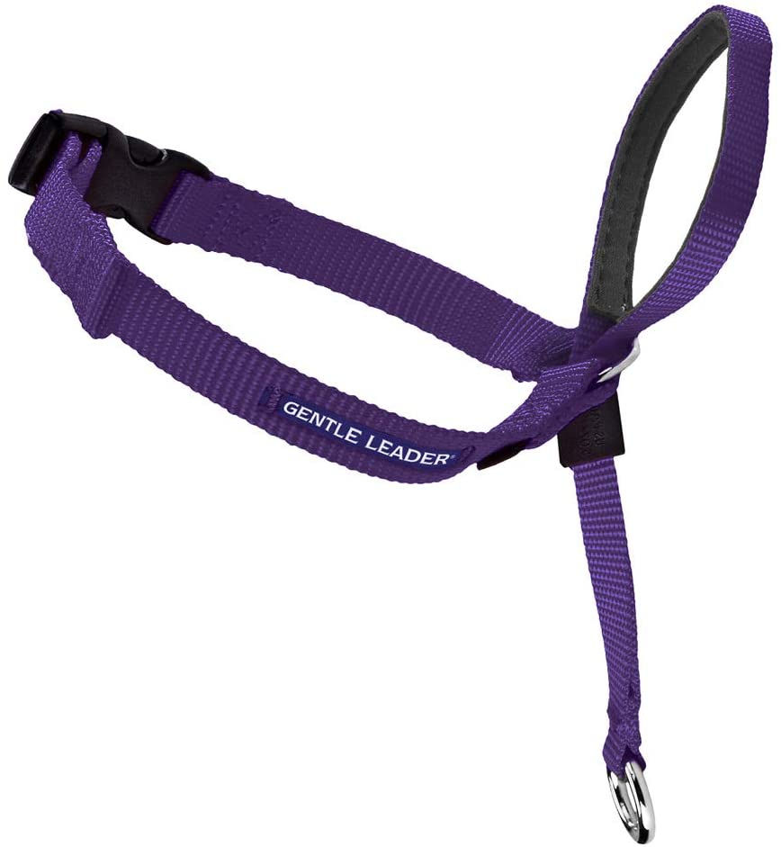 Thumbnail: PetSafe Gentle Leader Headcollar, No-Pull Dog Collar – Perfect for Leash & Ha