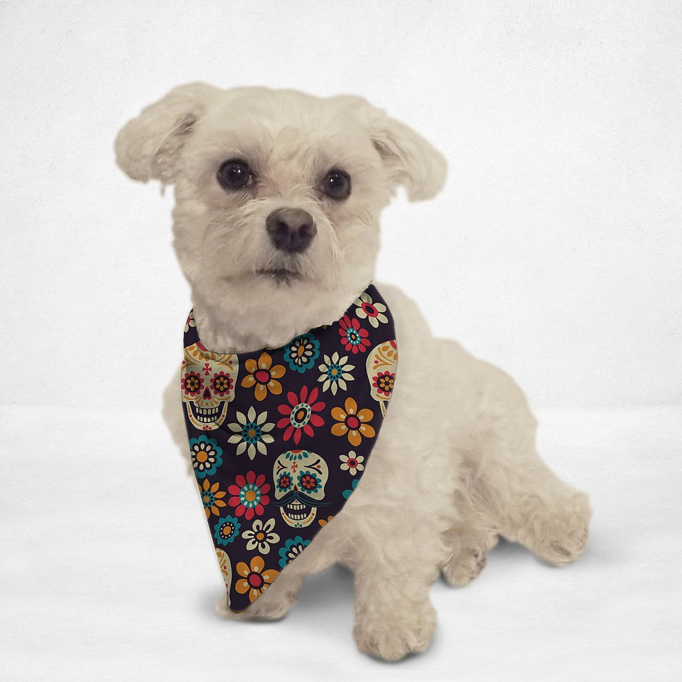 Thumbnail: Colorful Sugar Skull Cat & Dog Bandana