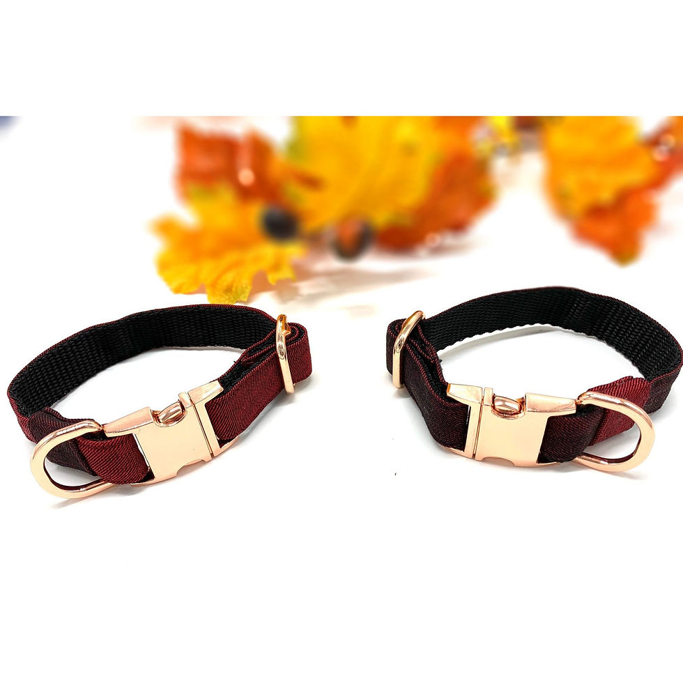 Thumbnail: Light Burgundy Denim Dog Collar With Rose Gold Hardware