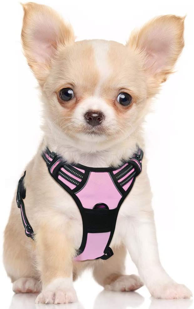 Thumbnail: Dog Harness, No-Pull Pet Harness with 2 Leash Clips, Adjustable Soft Padded Dog