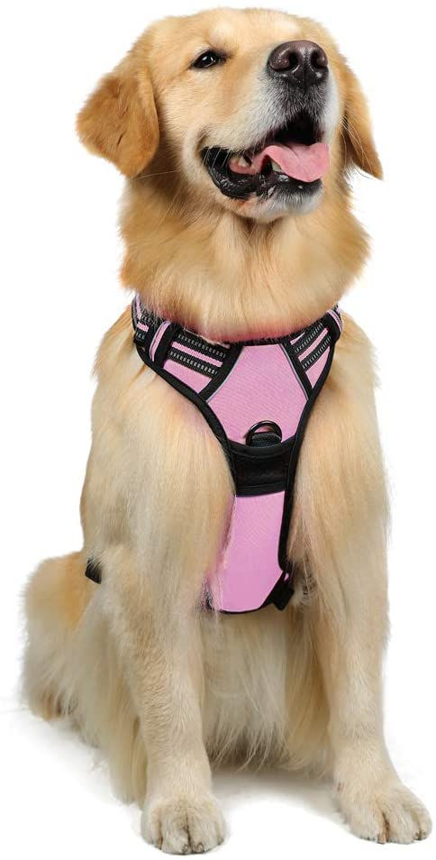 Thumbnail: Dog Harness, No-Pull Pet Harness with 2 Leash Clips, Adjustable Soft Padded Dog