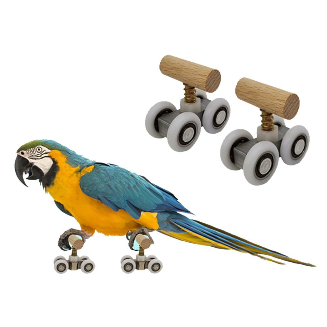 2pcs Parrot Trick Tabletop Mini Roller Ice Skates for Small Medium Parrots Bird