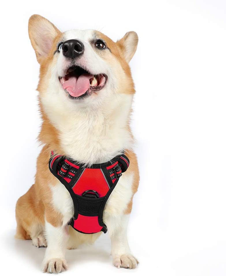 Thumbnail: Dog Harness, No-Pull Pet Harness with 2 Leash Clips, Adjustable Soft Padded Dog