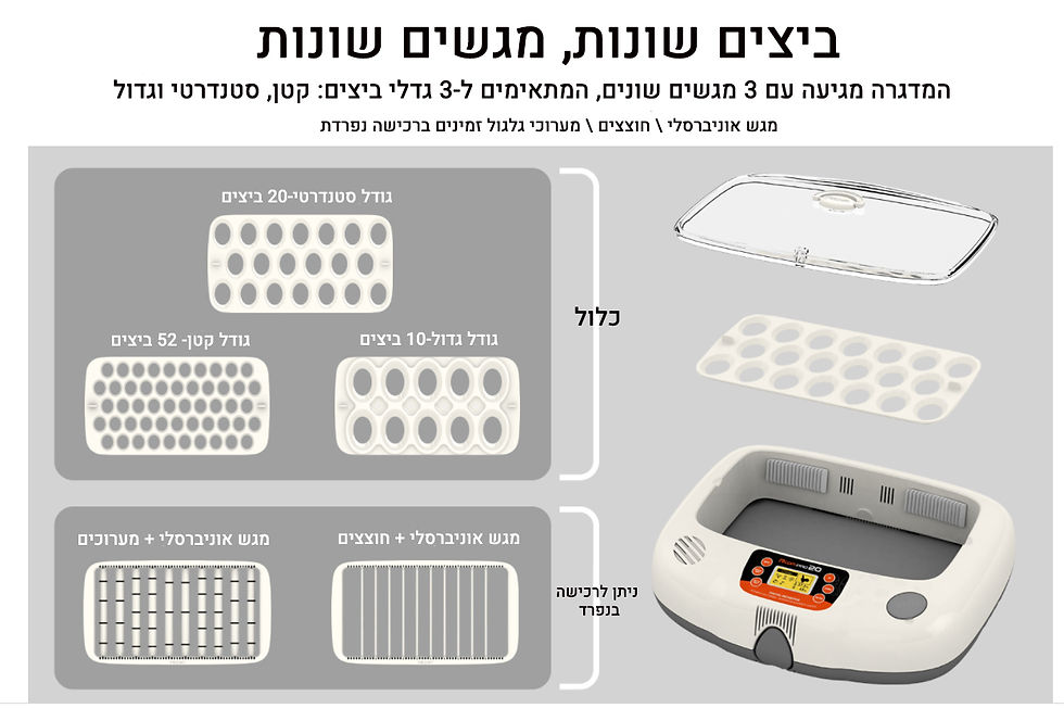 תמונה ממוזערת: Rcom PRO 20 - מדגרת בעלי כנף