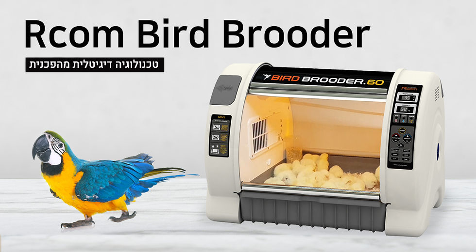תמונה ממוזערת: אומנת בעלי כנף - Rcom Bird Brooder 60 (BS500)