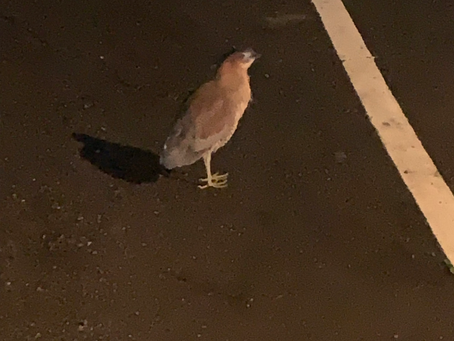 How to use 3D printer