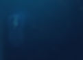 bg_dark_v03_edited.jpg