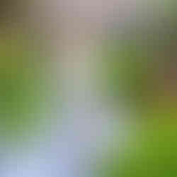 Vestido de Aluguel ou Sob Medida?