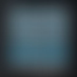 The efective executive