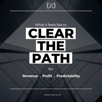What it Feels Like to Clear the Path for Revenue, Profit, Predictability