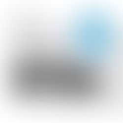 Client Testimonial - The result is incremental multiples of ROI for our investors