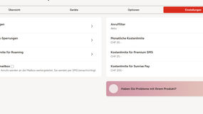 Handy verschickt heimlich hunderte SMS ins Ausland und generiert innert Sekunden über 200 Fr. an Zusatzkosten.