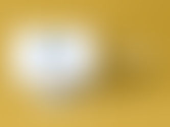 HYUNDAI MOBIS MOHAPPY LEADER WORKSHOP