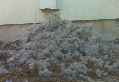 dryer lint on outside of home