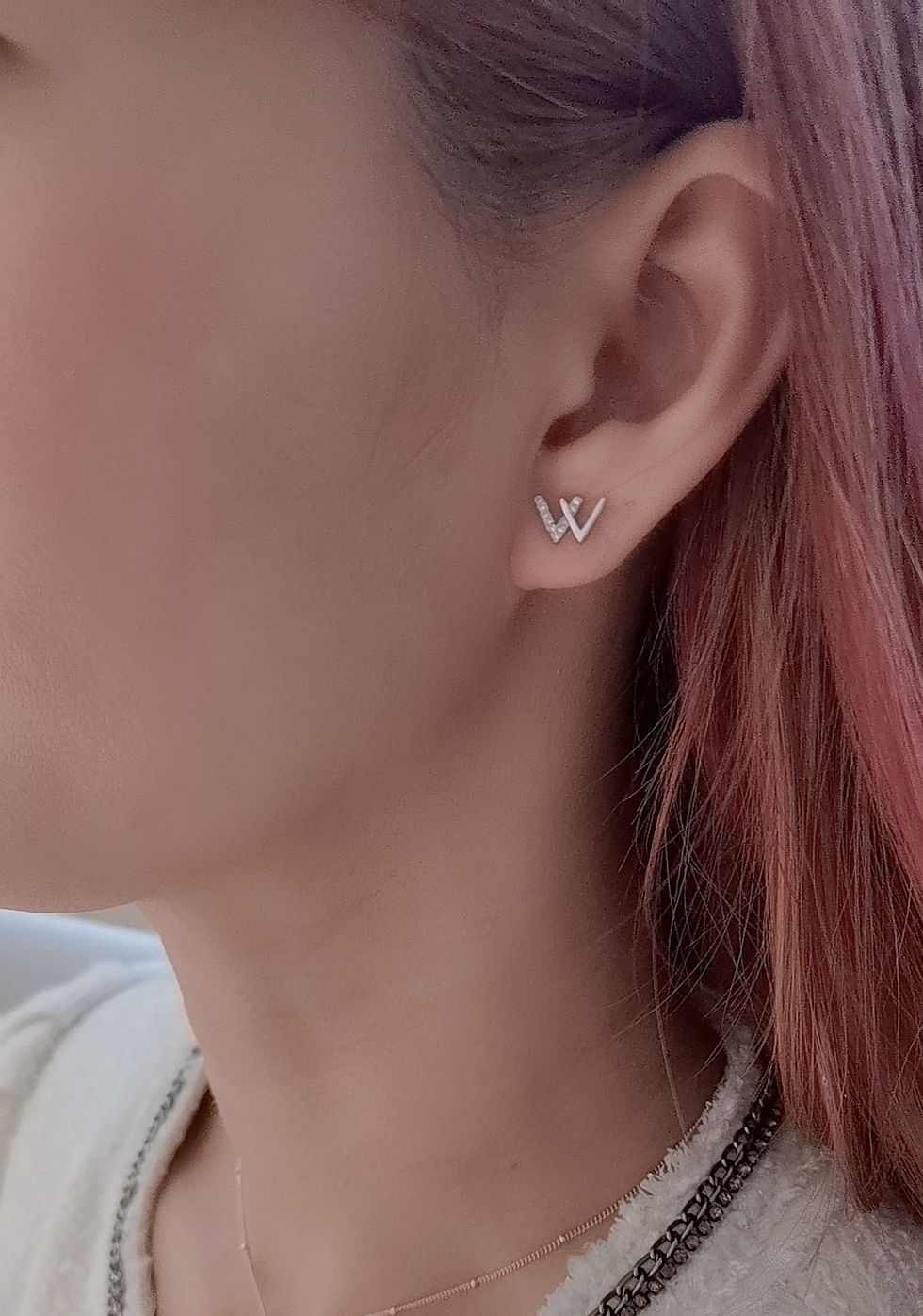 Thumbnail: The "W" studs (Silver)