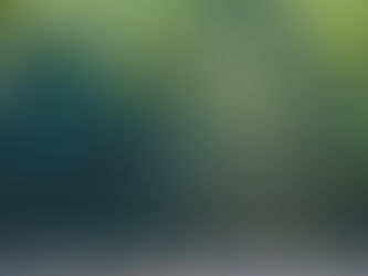 Mosquito swarm during mosquito season in Fair Lawn NJ