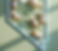 nevada prescribing.png