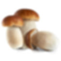 Thumbnail: Wild Mushroom Ravioli - 1lb.
