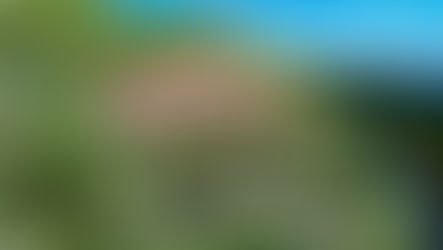 LA-VILLA ( DEMOLISH AND REBUILD)