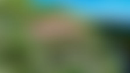 LA-VILLA ( DEMOLISH AND REBUILD)