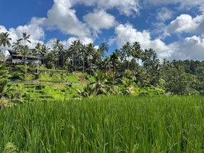 Ubud travel guide, local tips