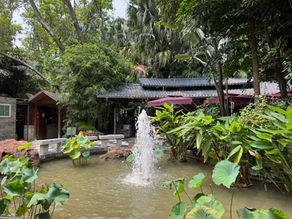 Less-touristy things to do in Guangzhou - Local Favorites and Hidden Gems