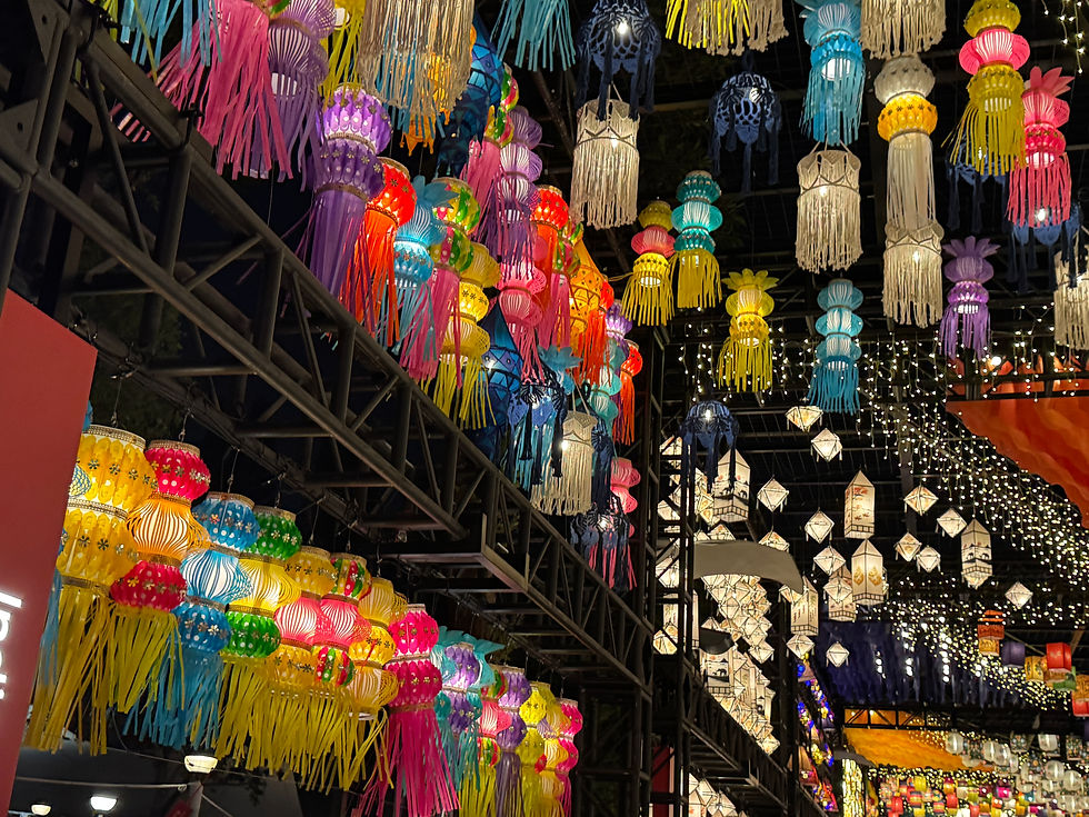 2026 VCITORA PARK INTENRAITONAL LANTERN FESTIVAL