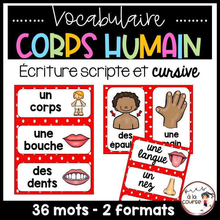 Mots-étiquettes vocabulaire du corps humain