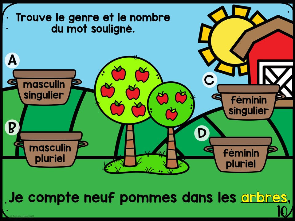 Miniature : Genre et nombre du nom commun