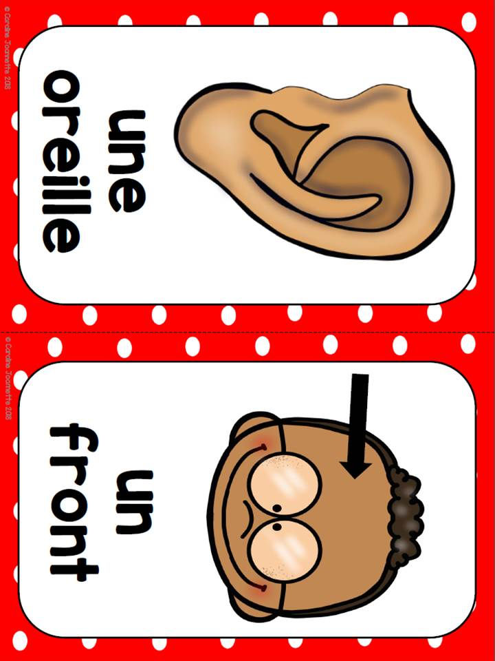 Miniature : Mots-étiquettes vocabulaire du corps humain