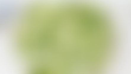 Spicy Melon & Cucumber Ribbon Salad